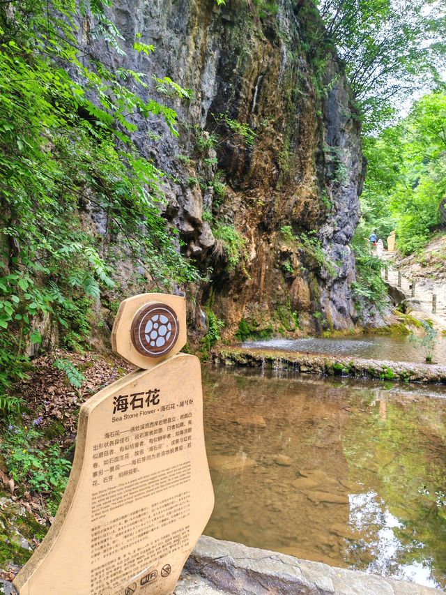西安周邊旅遊地推薦—江山，如此多嬌！