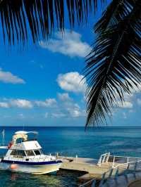 🌴 Cozumel Bliss: Top All-Inclusive Stay! 🌞