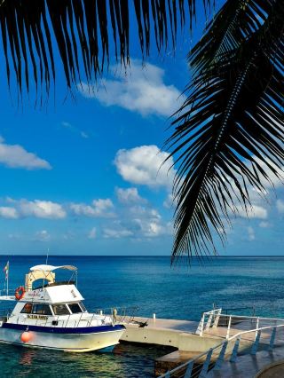 🌴 Cozumel Bliss: Top All-Inclusive Stay! 🌞