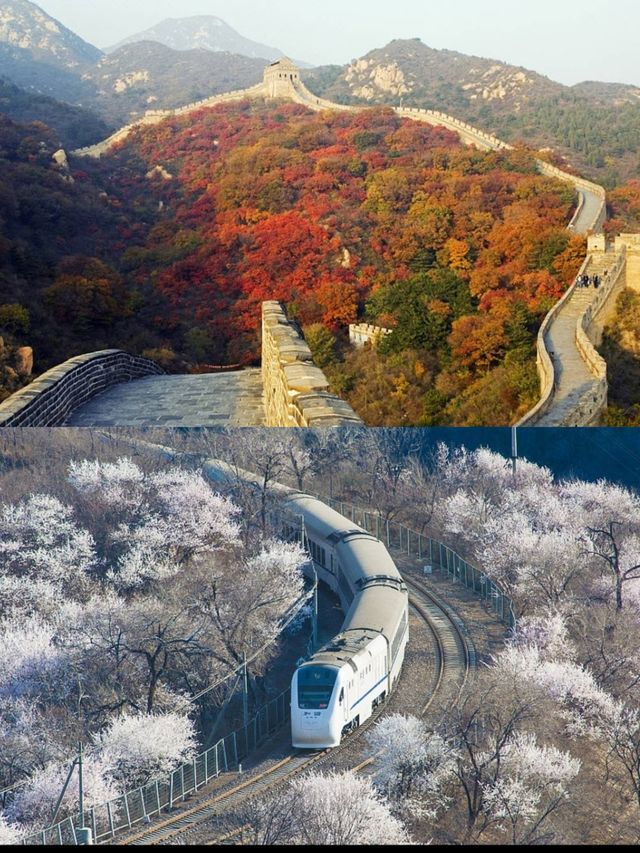 帶上娃來這裡享受   避暑安靜得小院，
