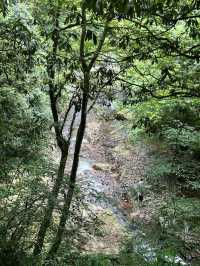 成都周邊2h，看猴子耍水輕徒步好去處