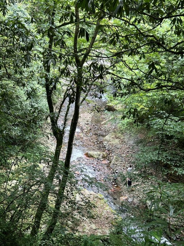 成都周邊2h，看猴子耍水輕徒步好去處