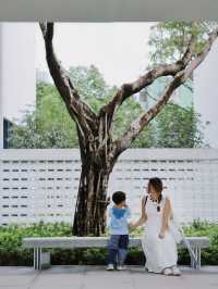 中山這座“盤活”後的白房子公園好chill啊