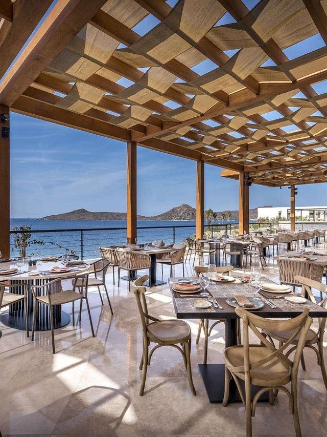 🌟 Bodrum's Best: Allium Resort & Spa Delights 🌊