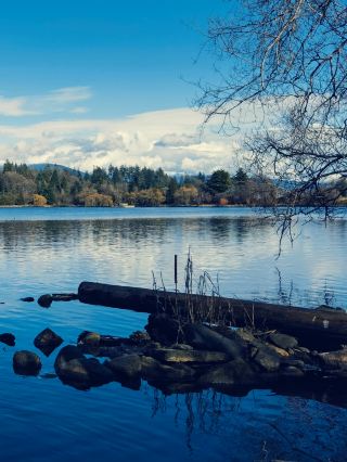 If you can only stay in Vancouver for one day, I suggest you don't miss Stanley Park