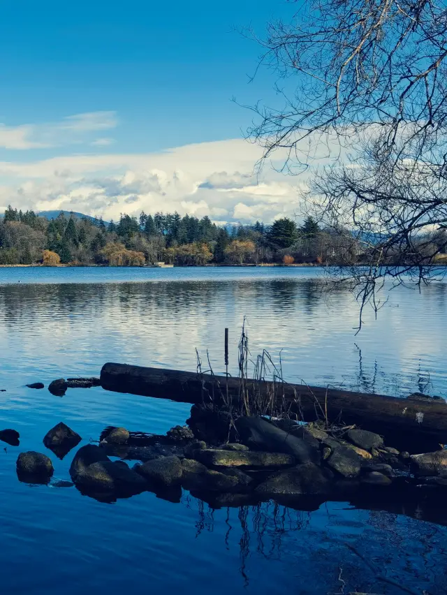 หากคุณมีเวลาเพียงหนึ่งวันในแวนคูเวอร์ แนะนำว่าอย่าพลาดสวนสแตนลีย์