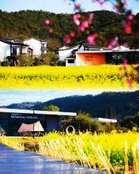 山水君瀾睡進東錢湖畔·綠野仙蹤溫泉度假村！