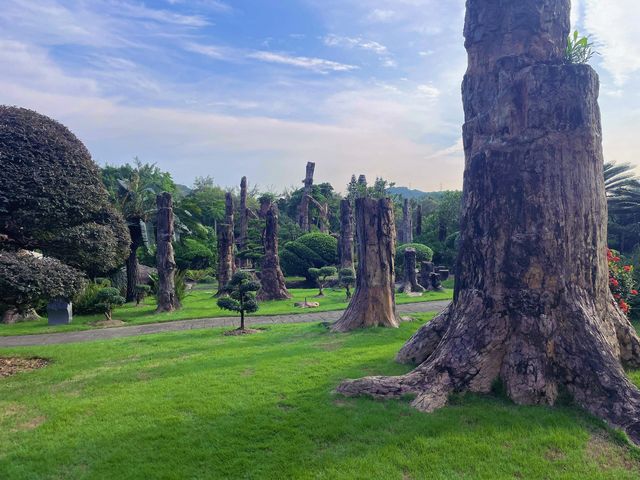 仙湖植物園，我原稱之為深圳小絕境
