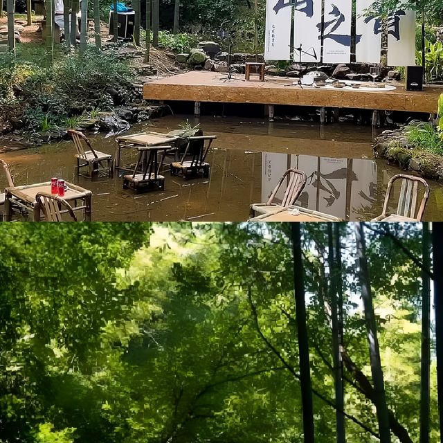 江蘇溧陽南山竹海，秘境之旅等你來