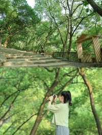 重慶慢慢遊本地人私藏的個寶藏地點