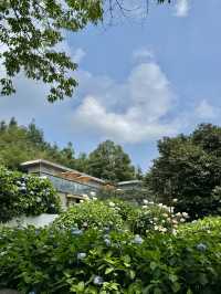 峨眉山秘密花園裡的小木屋