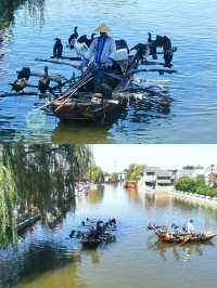 濟寧周邊遊寶藏地——濟寧微山南陽古鎮
