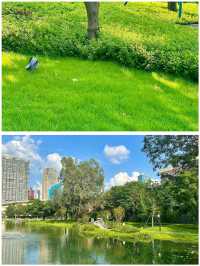 摩訶池公園，來了就不想走！