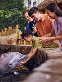打卡全球100佳主題樂園，亞斯島暢玩攻略