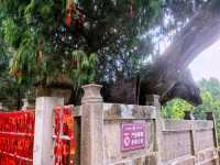 七曲山大廟之應夢仙台（二）