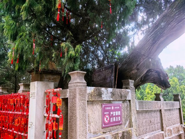 七曲山大廟之應夢仙台（二）
