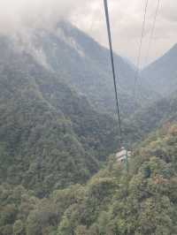 Embracing the Fog at Fangjing Mountain!