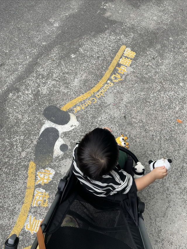 西安周邊遊｜佛坪2天1夜遛娃攻略