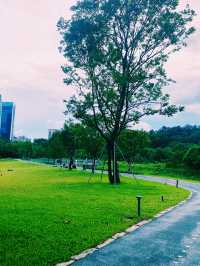 一面是湖，一面是塔，西麗湖環湖綠道美絕了！