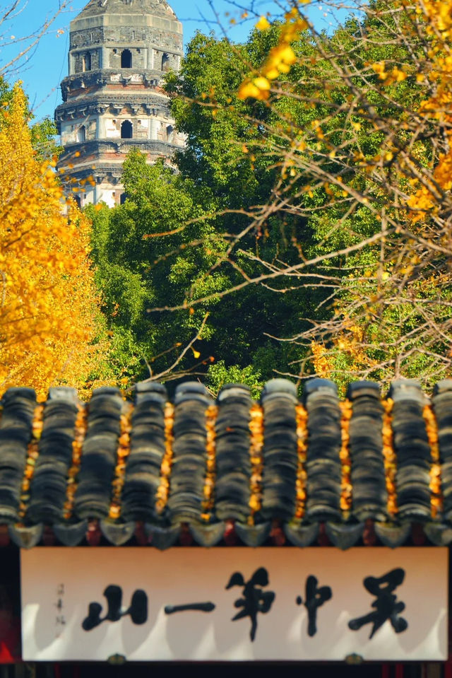 蘇州虎丘山的美終究還是藏不住啦