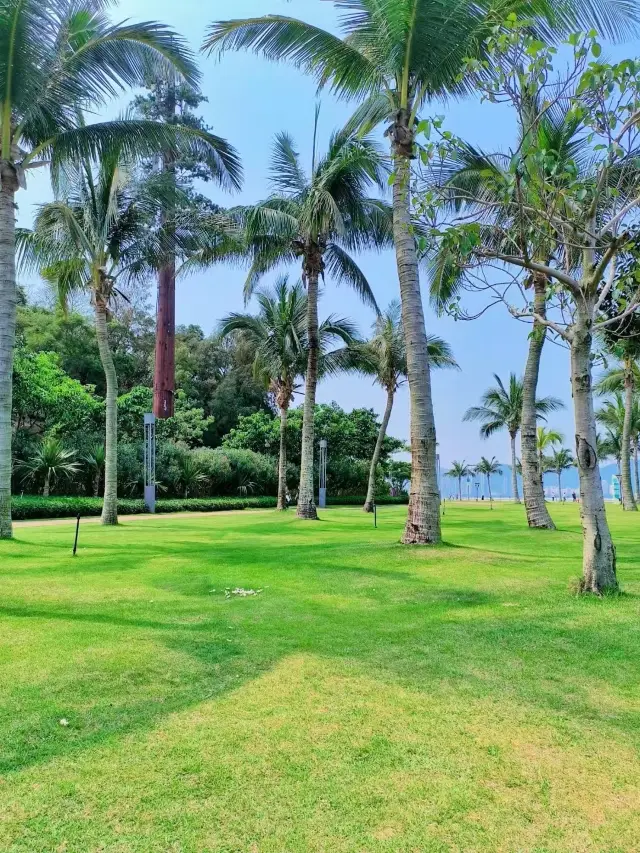 Zhuhai Lovers' Road: A Coastal Scenic Spot Tour