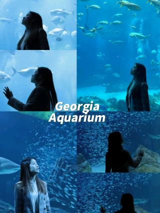The Georgia Aquarium, the largest aquarium in North America❤️🥰