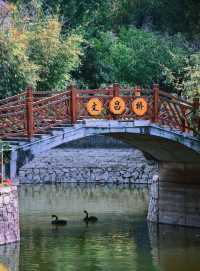 嶺南印象園：藏在鬧市裡的嶺南鄉土風情街。
