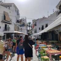 A day tour in ibiza Spain