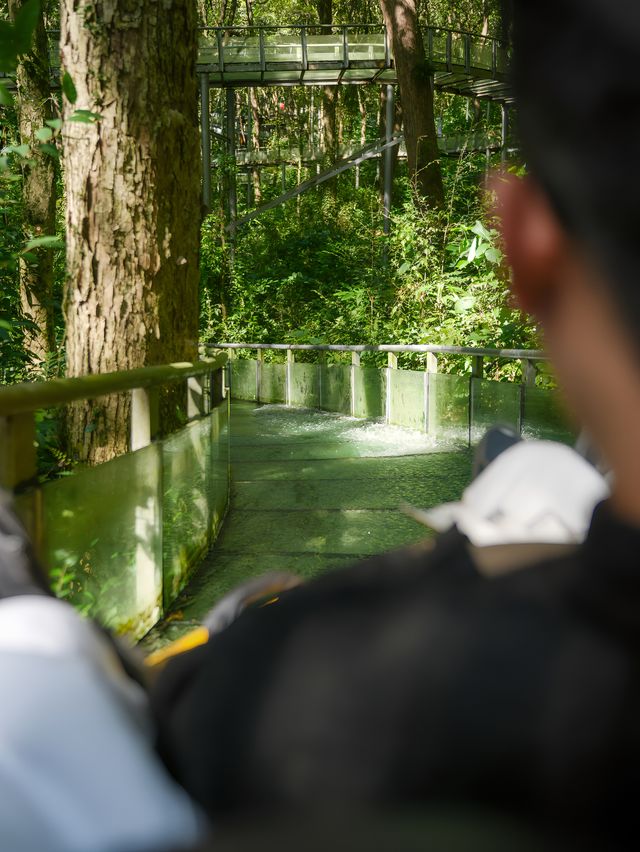 星河有跡可尋杭州嘅夏天就該喺呢度結束。