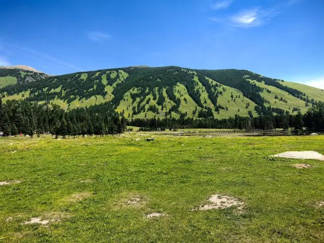 เมื่อมาเที่ยวซินเจียง ที่พิเศษที่สุดคือ อุทยานเขตอนุรักษ์ธรรมชาติคานาซี่ อ่าวเซียนเซียน