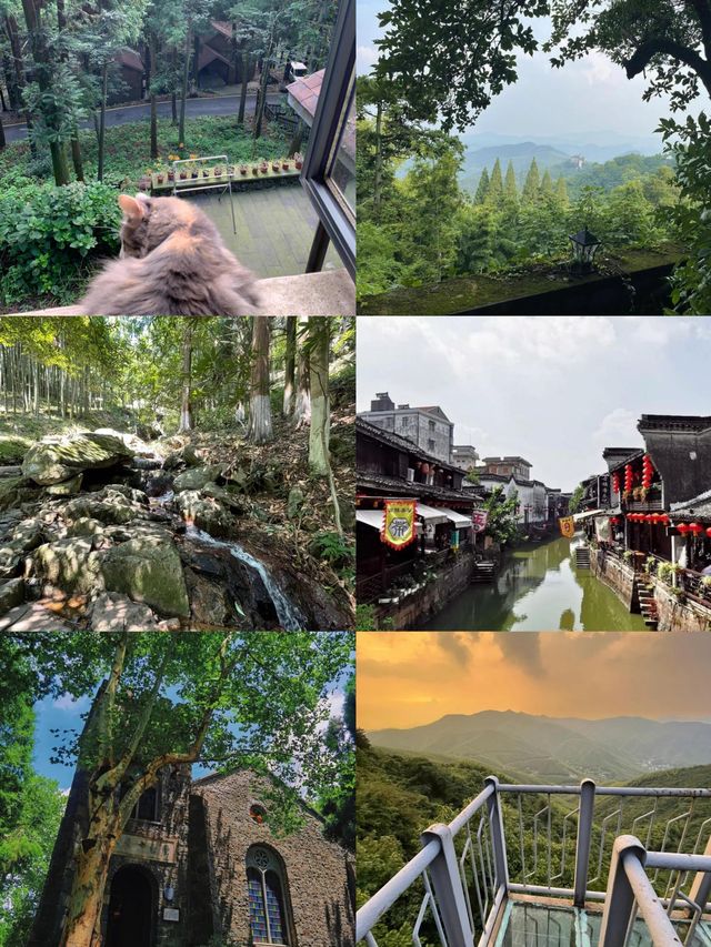 上渚山奇幻谷|一個被低估了的寶藏遛娃地。 上渚山奇幻谷|一個被低估了的寶藏遛娃地。