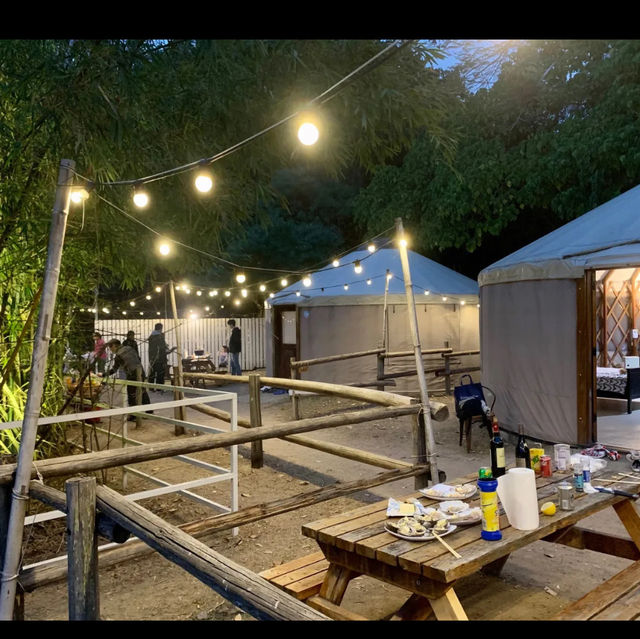 Camping in Hongkong farm 