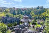 雲南昆明杏林大觀園丨體驗一次康養之旅。