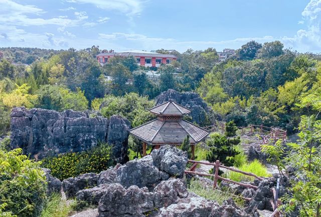 雲南昆明杏林大觀園丨體驗一次康養之旅。