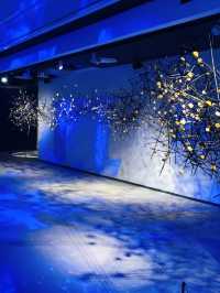 靜安雕塑公園免費雙展，花藝與雕塑的結合。