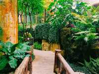 The Forsgate Conservatory: Remarkable Plant Representation