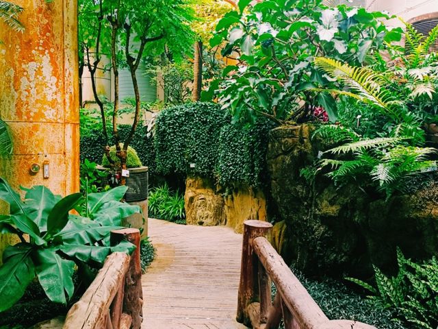 The Forsgate Conservatory: Remarkable Plant Representation