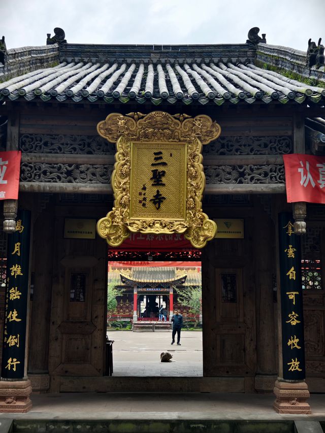 自然與人文交融之地——探訪三聖寺的自然風光和人文景觀。