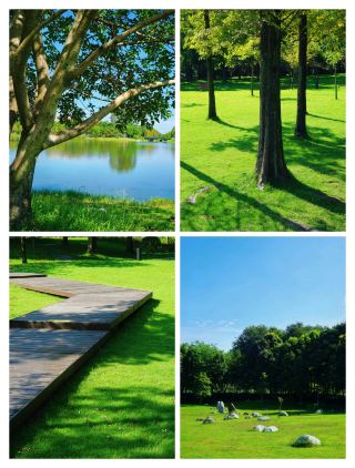 這個神奇的地方有飛往世界各地的航班，有古蜀國在的痕跡。