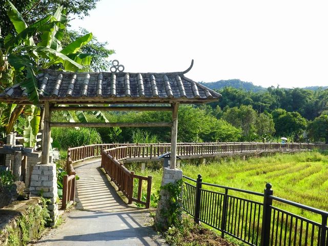 海拔最高的海南山村。