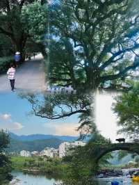 被國家地理評為中國最美鄉村,秋天美到極致。