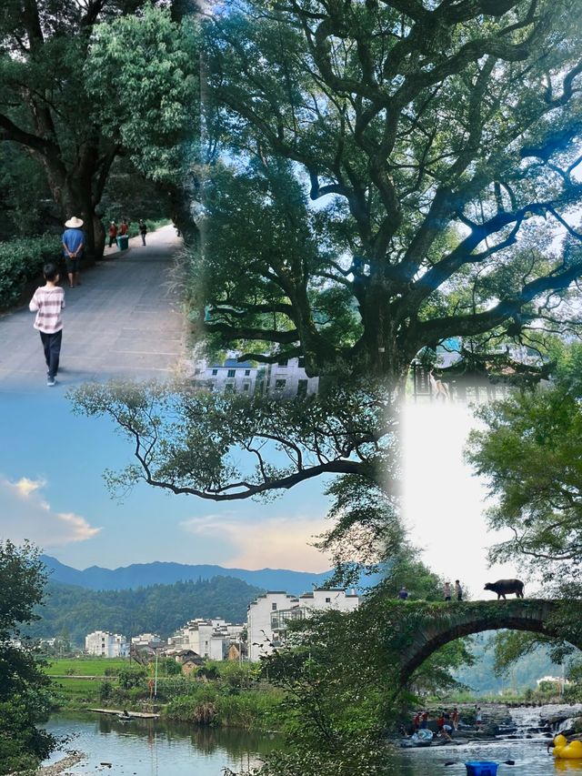 被國家地理評為中國最美鄉村,秋天美到極致。 被國家地理評為中國最美鄉村,秋天美到極致。