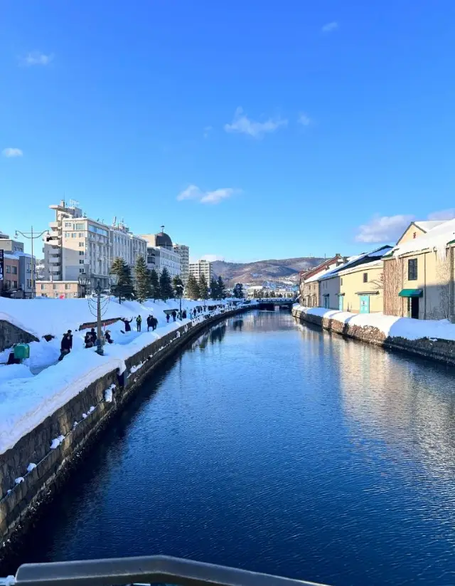 懷念了一整年的北海道。📌北海道超絕懶人版攻略（5天4晚）