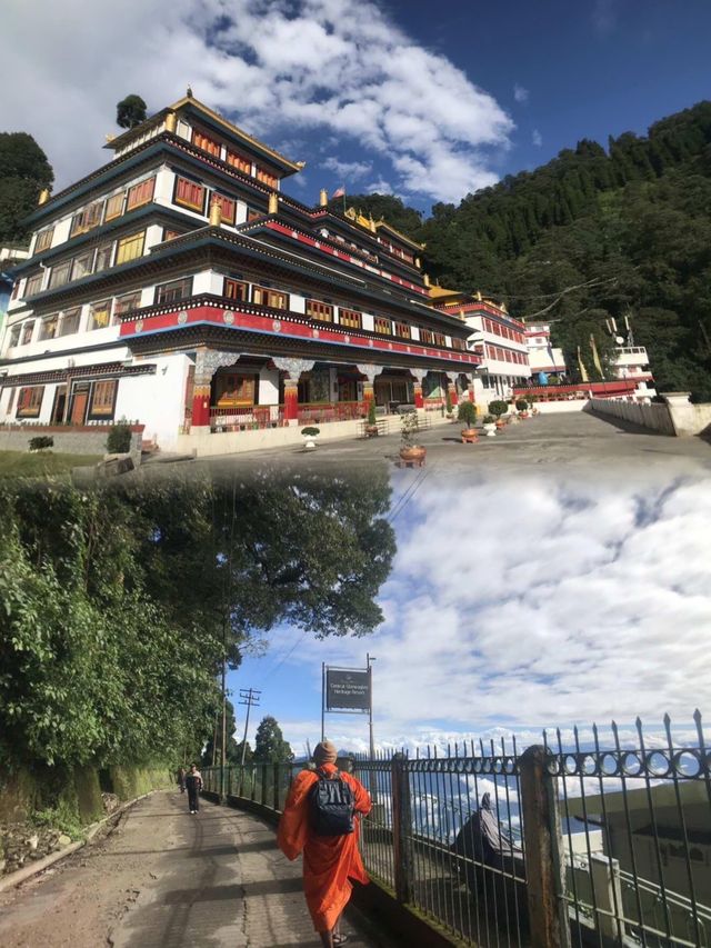 上一次去印度大吉岭還是……