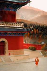 五台山。