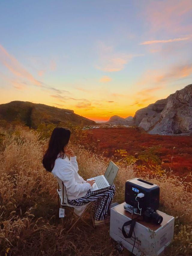 滿山紅遍日照金山紅葉谷太震撼了。