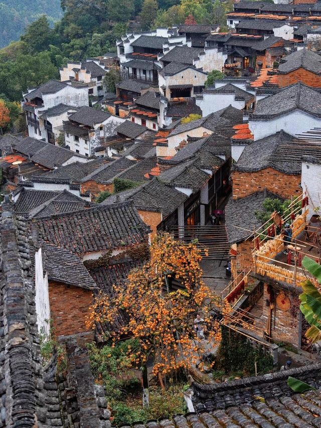 中國甜柿第一村錾子石村，甜蜜滿溢的鄉村傳奇！