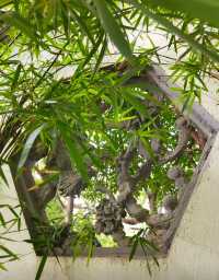 蘇州園林中的園中園楓華園。