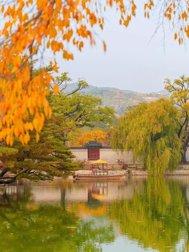 5-Day Seoul Itinerary: Explore Seoul for Just 3,000 RMB Per Person!