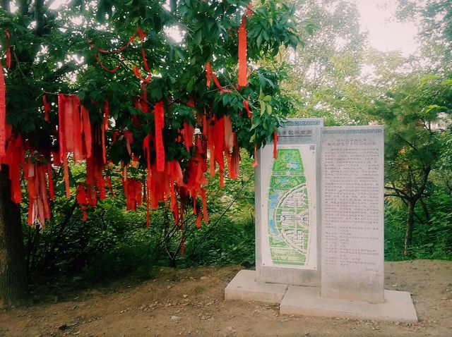 Mesmerising Park of Zhengzhou University